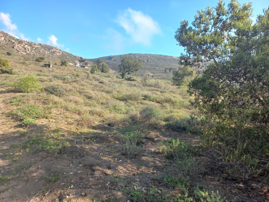 0 Bedroom Property for Sale in Steenbergs Cove Western Cape